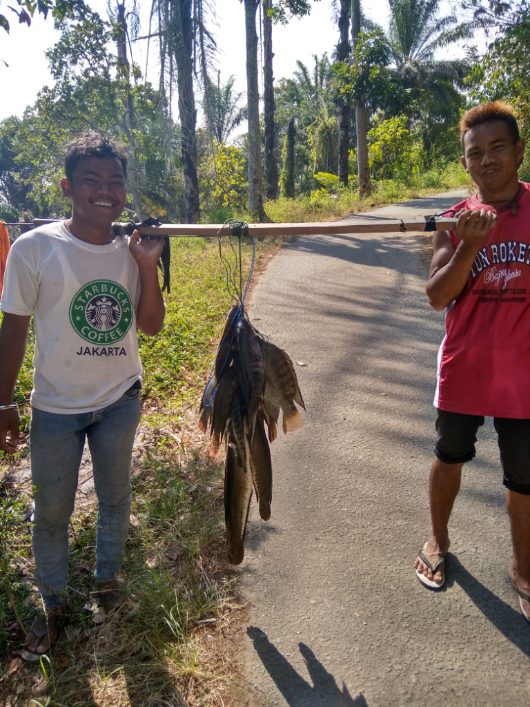 Sipolha, Kepingan Surga Danau Toba Yang Terlupakan