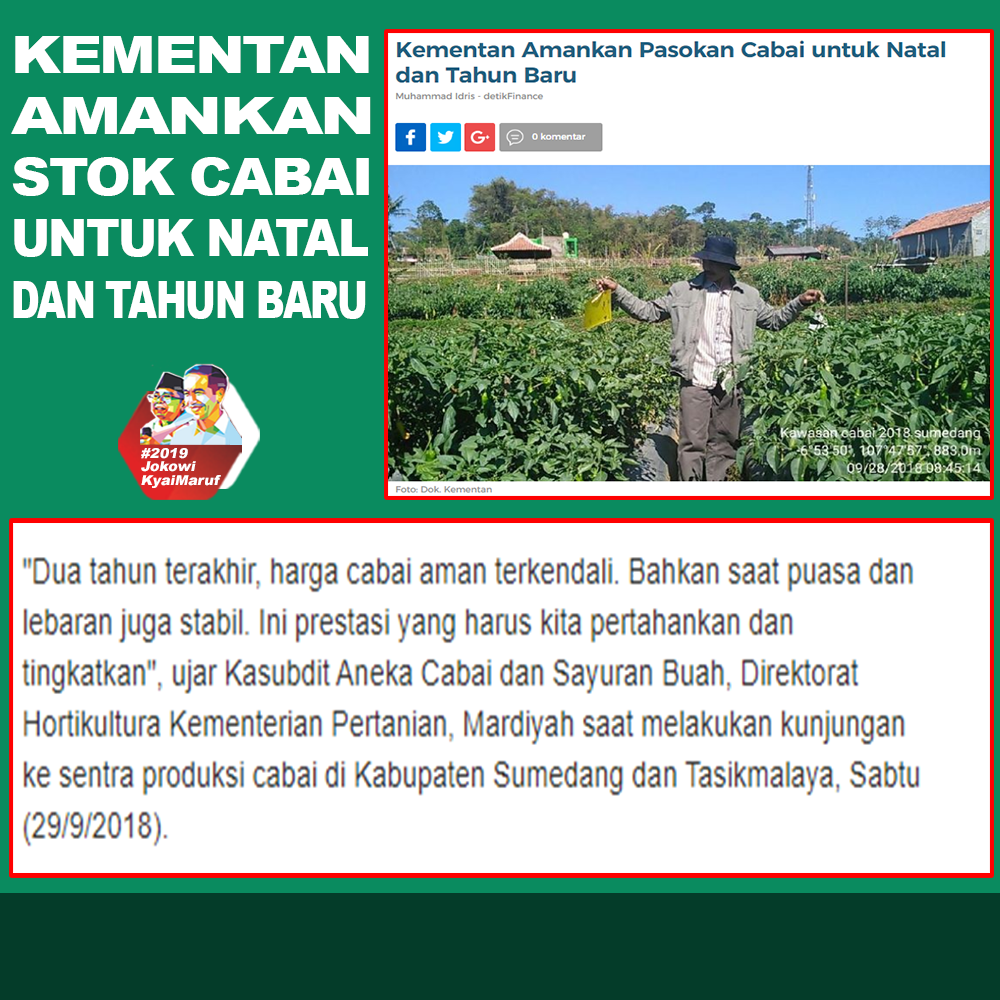 KEMENTAN: "Stok Cabai di Jamin Aman Sampai Natal dan Tahun Baru"