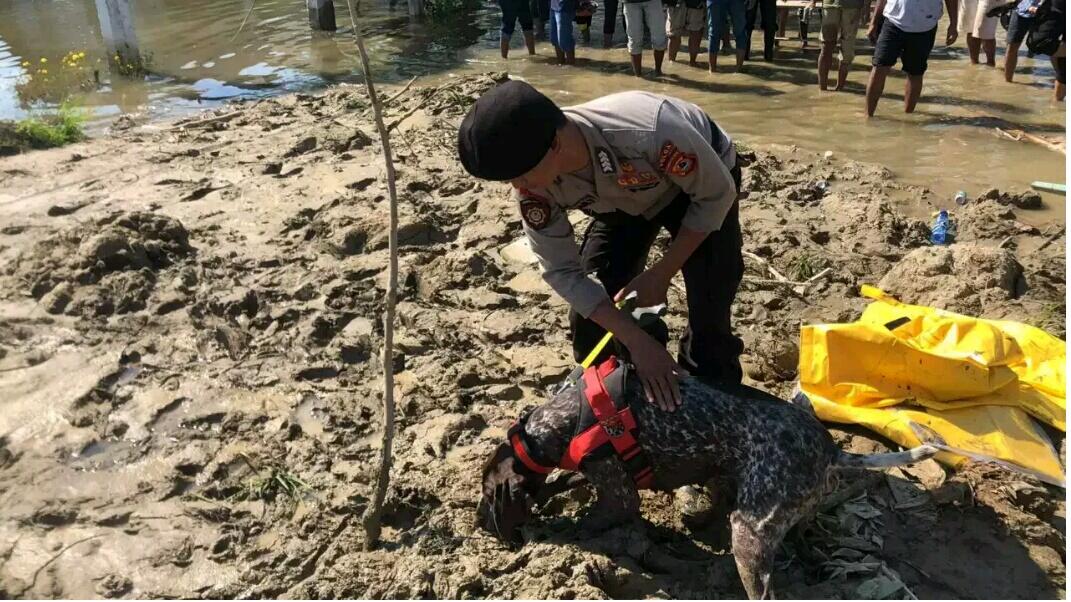 Anjing Pelacak Temukan Mayat Tertimbun Lumpur di Petobo Palu