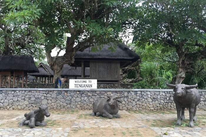 Desa Tenganan, Salah Satu Desa Tradisional Yang Unik di Bali