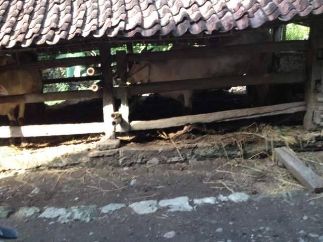 &#91;COC&#93;Kiat Ane Dalam Membangun Keluarga Yang Sakinah Mawaddah Wa Rahmah #AslinyaLo