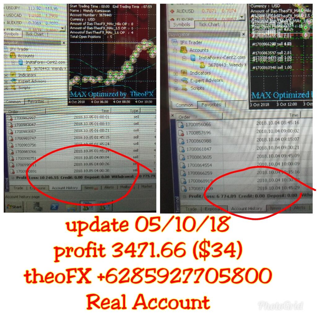 RobotEA Konsisten Profit Real Account