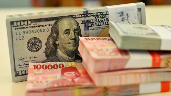 Dolar Tembus Rp 15 Ribu, Darmin: Biar Dulu Lah