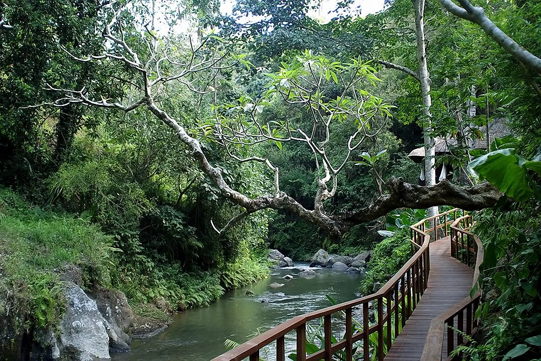 Penampakan Penunggu Sungai Gianyar, Bali