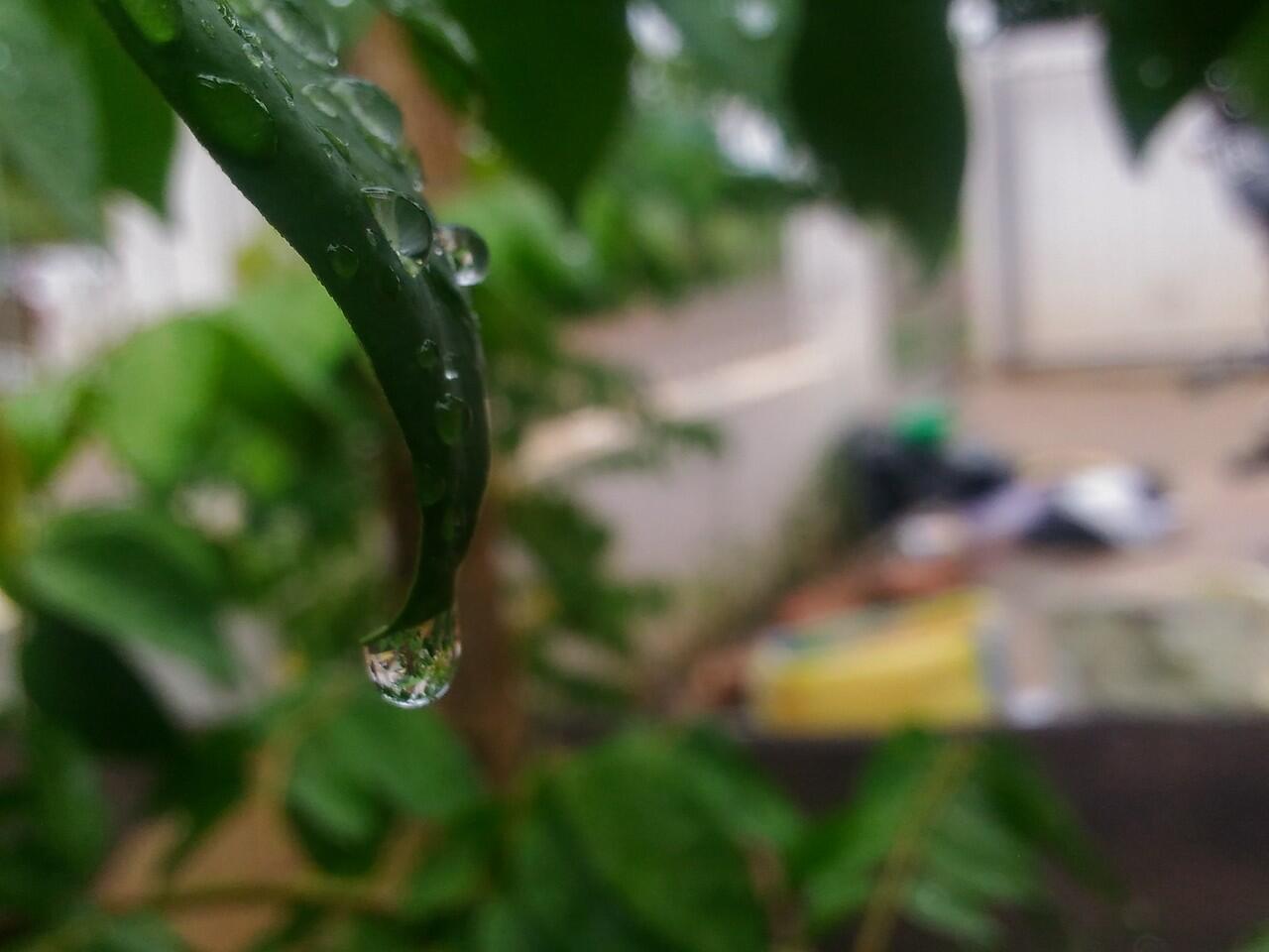 Apa itu MACROPHOTOGRAPHY ? (Bisa Dilakukan Dengan Android Agan Lho !)