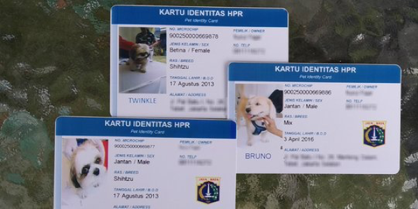 Pemprov DKI Jakarta rilis KTP khusus anjing