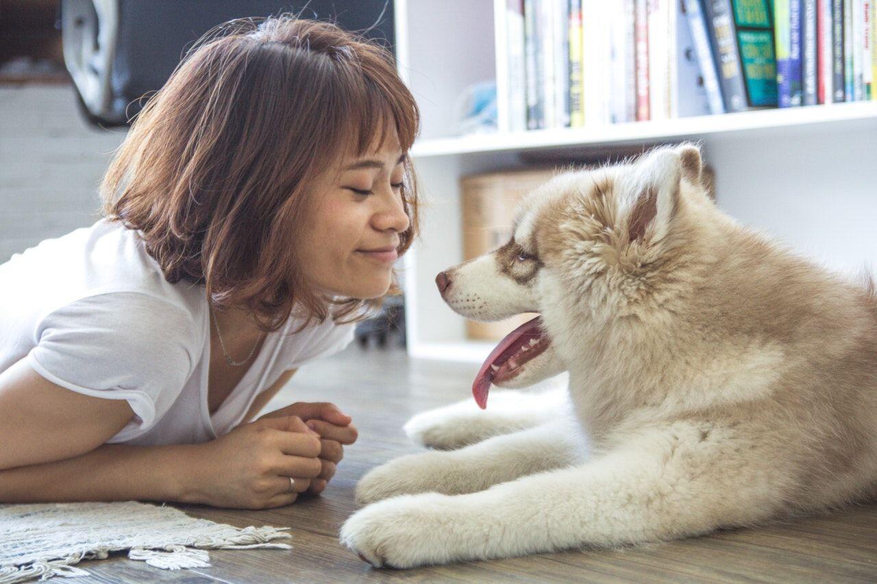 5 Alasan Introvert Gampang Berteman Baik dengan Hewan, Apa Saja?