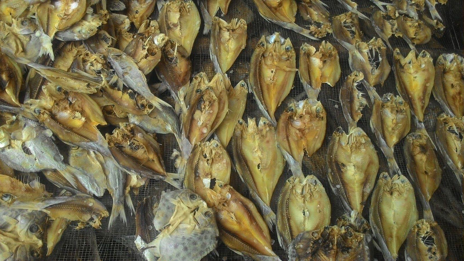 7 Ciri Makanan Mengandung Formalin yang Bisa Bikin Cepat Mati