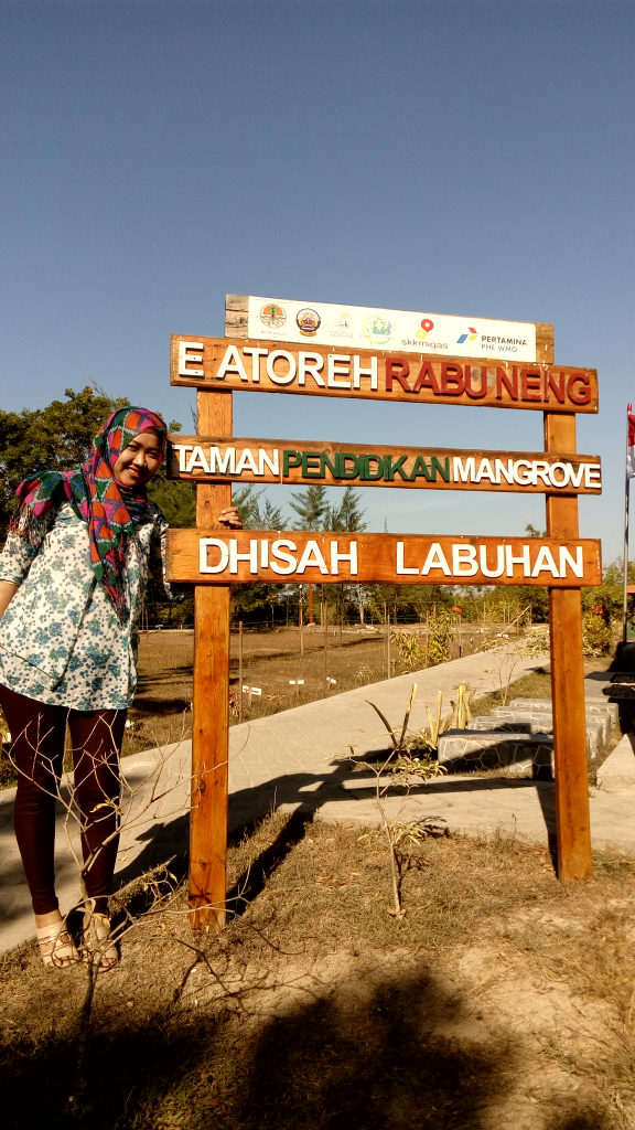 Hutan Mangrove