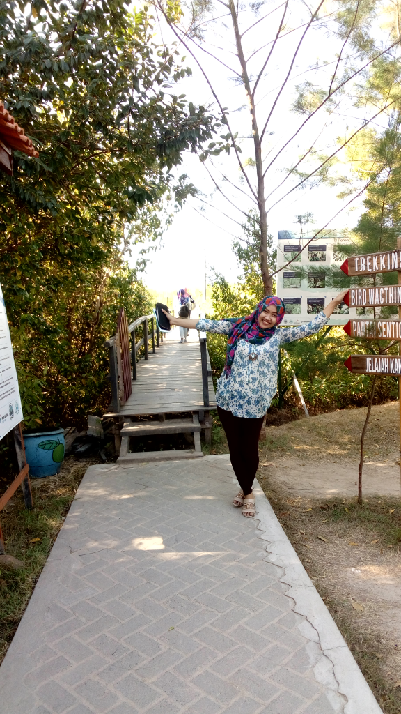 Hutan Mangrove