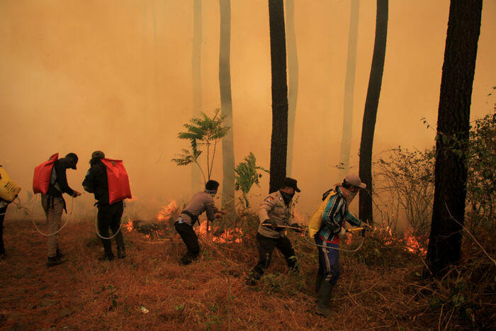 Hutan gunung Ciremai terbakar lagi, kali ini lebih luas