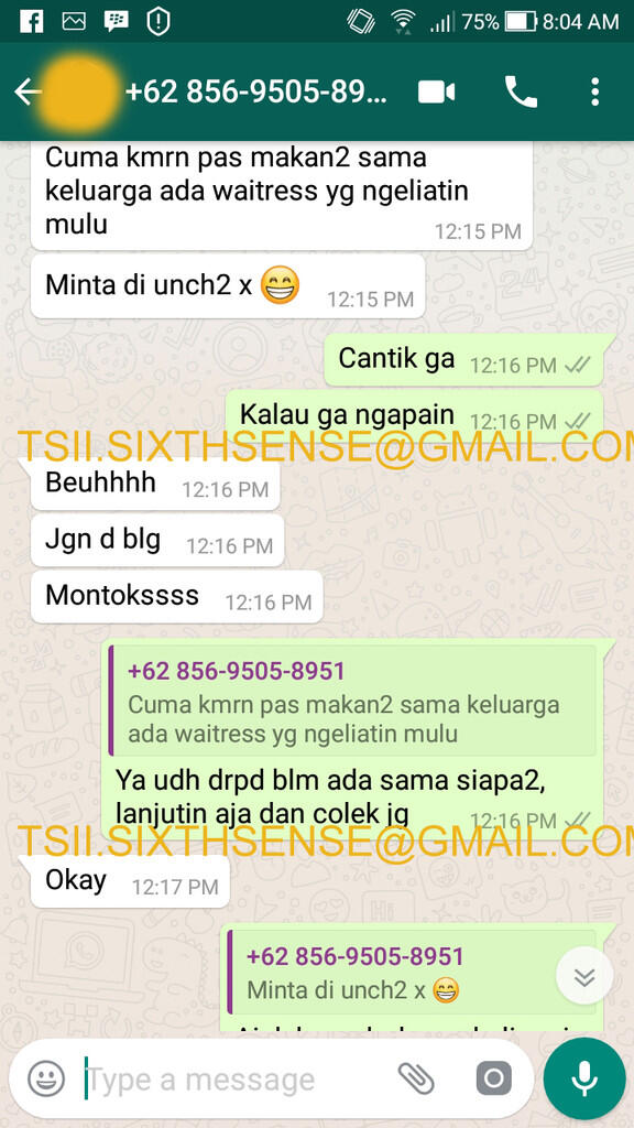 Terima Jasa Terawangan oleh Tim Supreme Indigo Indonesia (TSII)