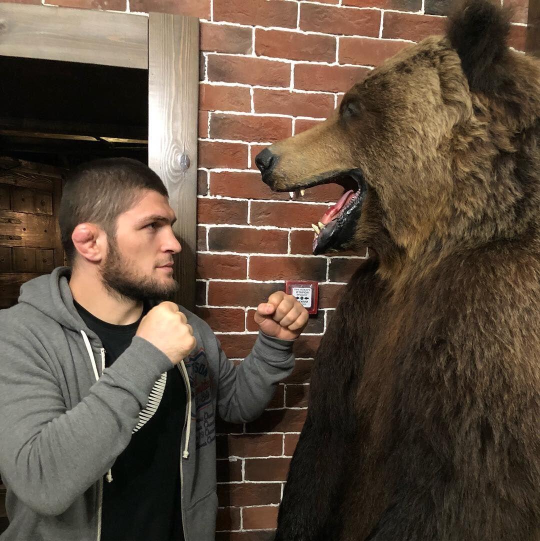 Ternyata, Sejak Kecil Khabib Sudah Berlatih Melawan Beruang