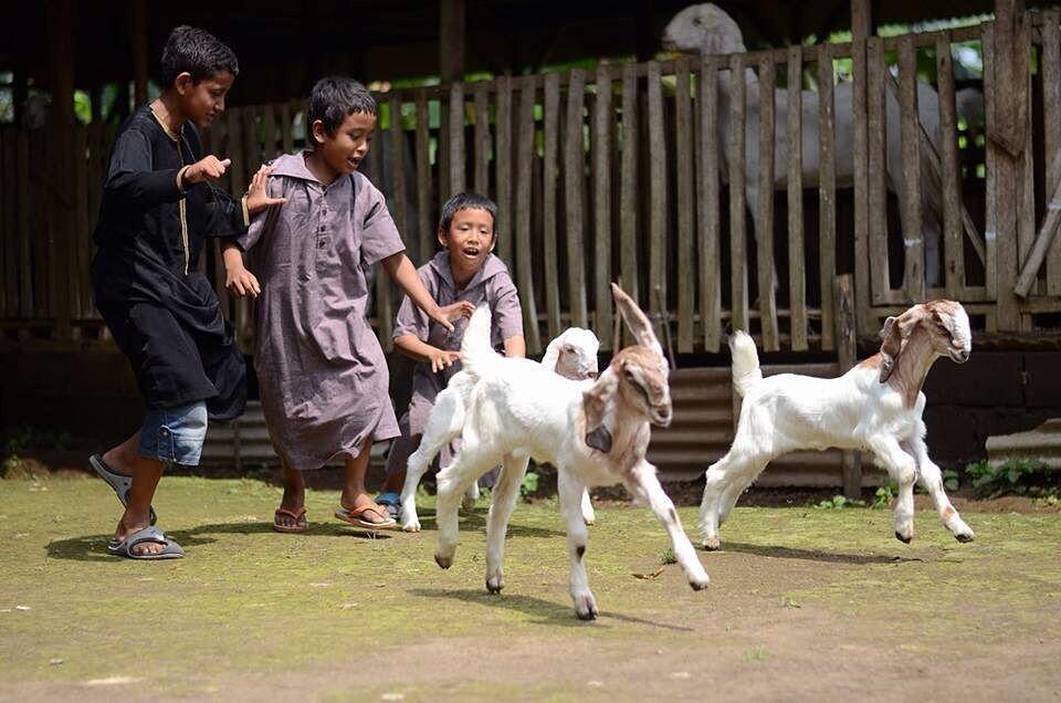 6 Rekomendasi Wisata Edukasi di Lumajang Untuk Keluarga