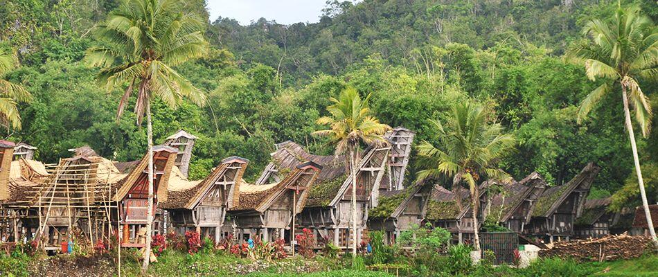 5 Tradisi Unik Suku Toraja yang Mendunia