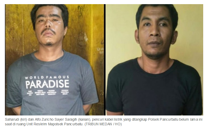 Dua Karyawan Perusahaan Pupuk Nekat Mencuri Kabel Listrik Demi Menambah Uang Masuk