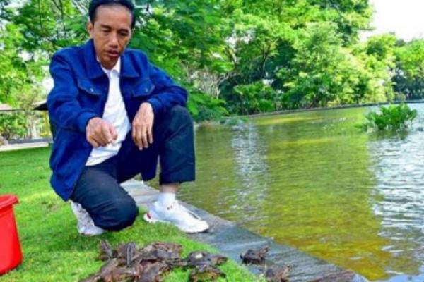 Selain Cebong & Biawak, Ini 4 Peliharaan Presiden Jokowi di Istana Bogor