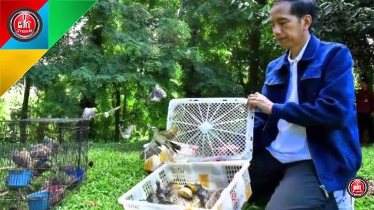 Selain Cebong & Biawak, Ini 4 Peliharaan Presiden Jokowi di Istana Bogor