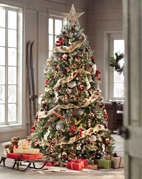 Bagaimana Awal Pohon Natal Bisa Muncul?