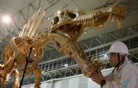 Teori Dan Realita Bahwa Dinosaurus Itu Ada Atau Tidak ?