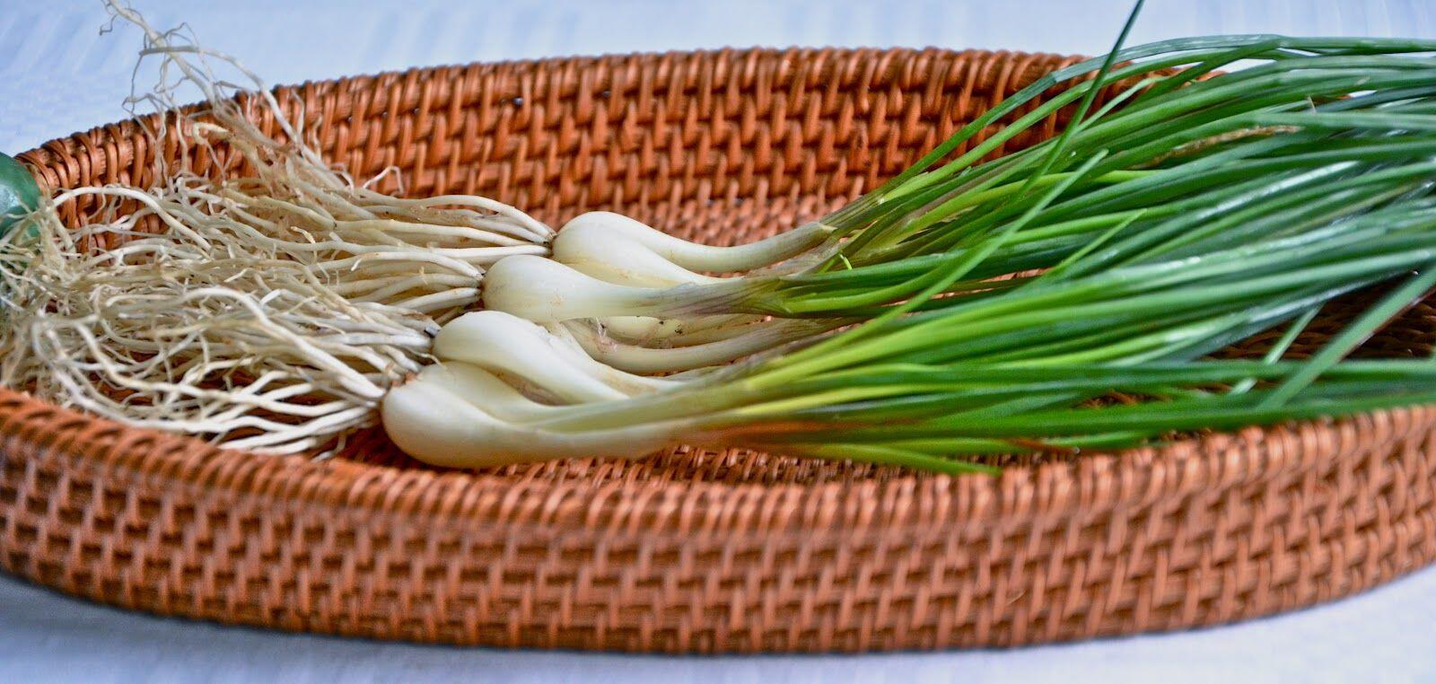 Mirip Banget, Ternyata Ini Beda Daun Bawang, Lokio, dan Daun Kucai