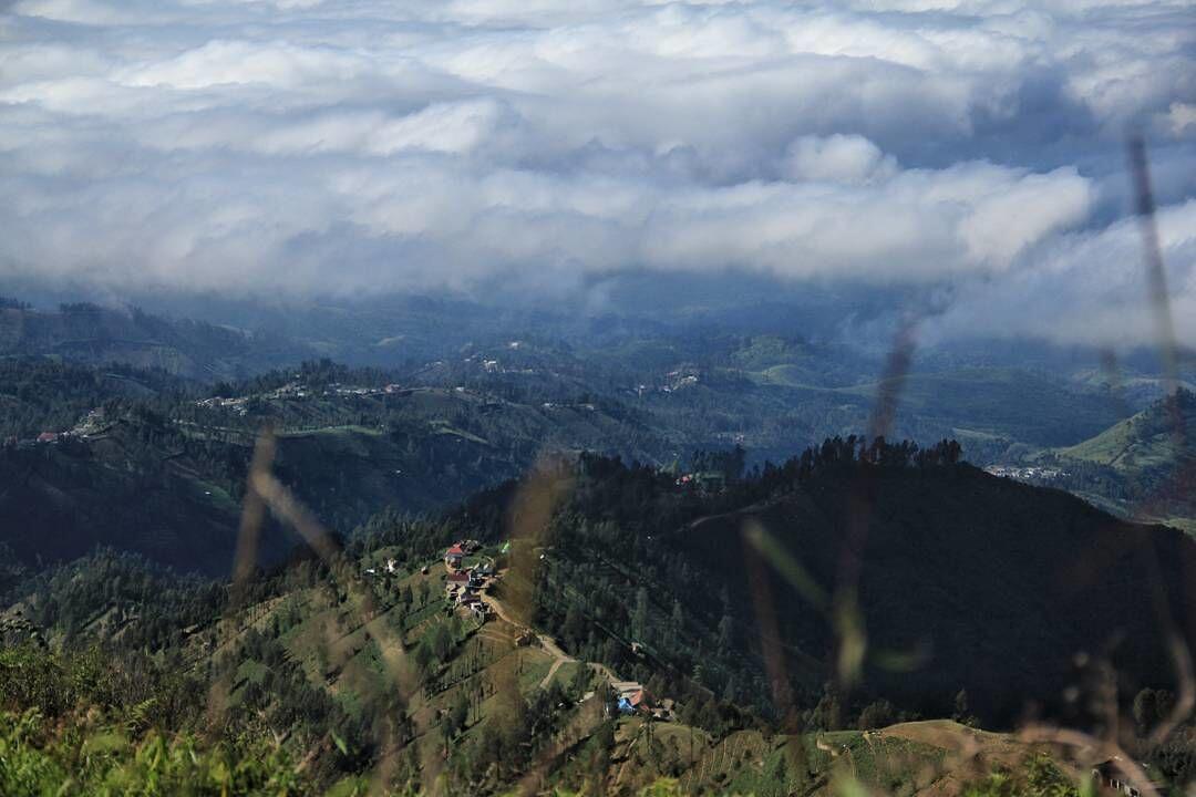 Epic nan Eksotis, Ini 10 Spot Foto Terbaik B29 Argosari Lumajang!