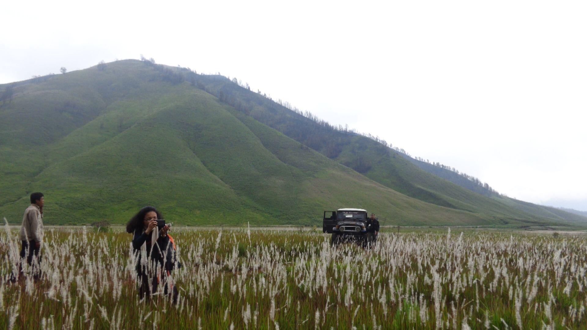 9 Padang Savana Terindah di Jawa Timur Ini Bikin Pengen Segera Liburan