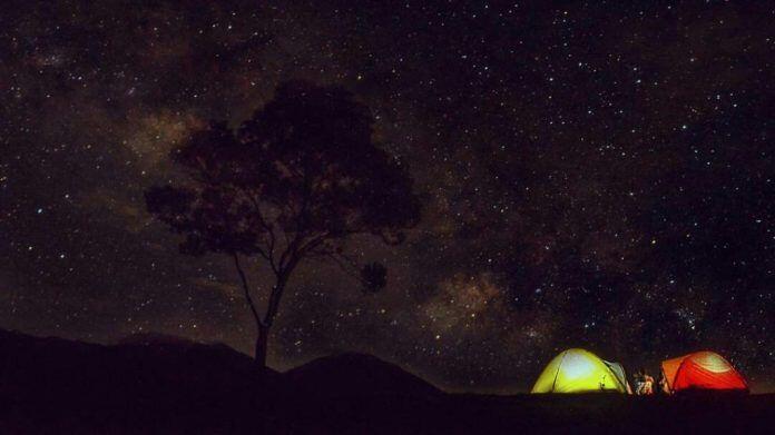 9 Padang Savana Terindah di Jawa Timur Ini Bikin Pengen Segera Liburan