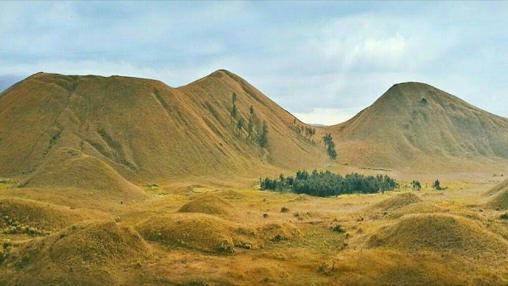 9 Padang Savana Terindah di Jawa Timur Ini Bikin Pengen Segera Liburan