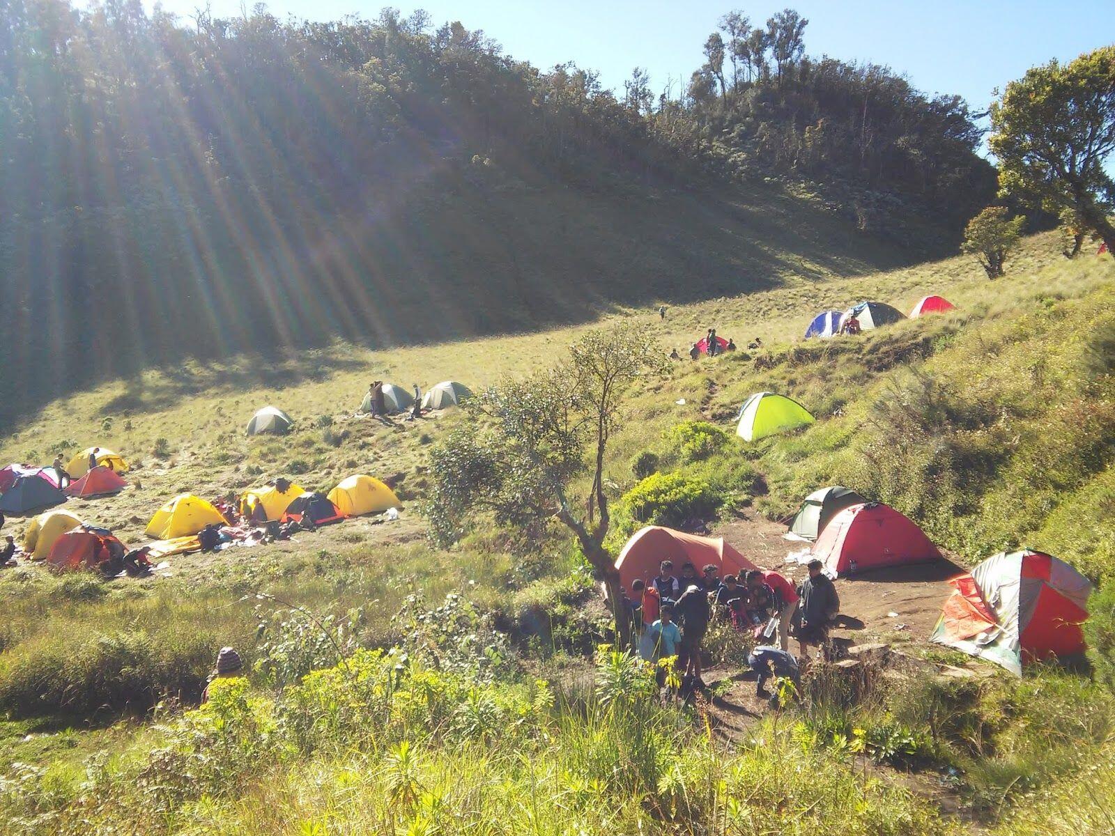 9 Padang Savana Terindah di Jawa Timur Ini Bikin Pengen Segera Liburan