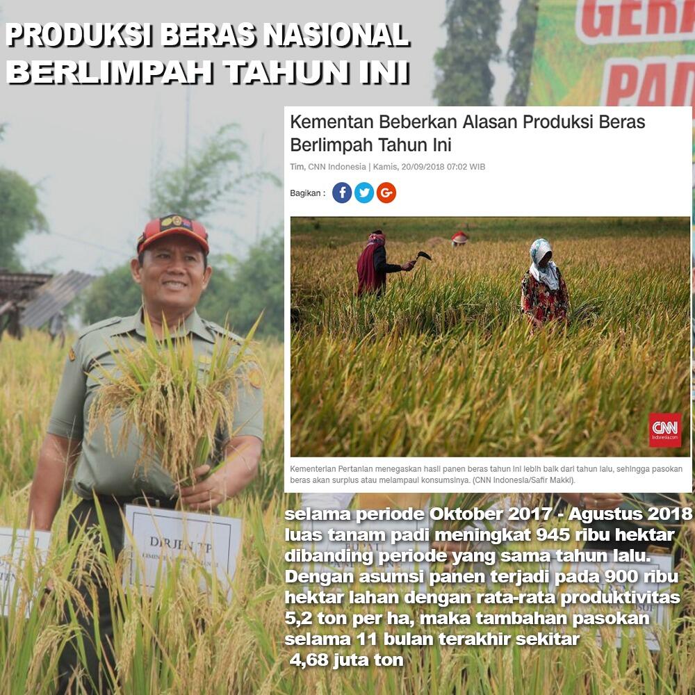 Produksi Beras Nasional Berlimah Tahun Ini