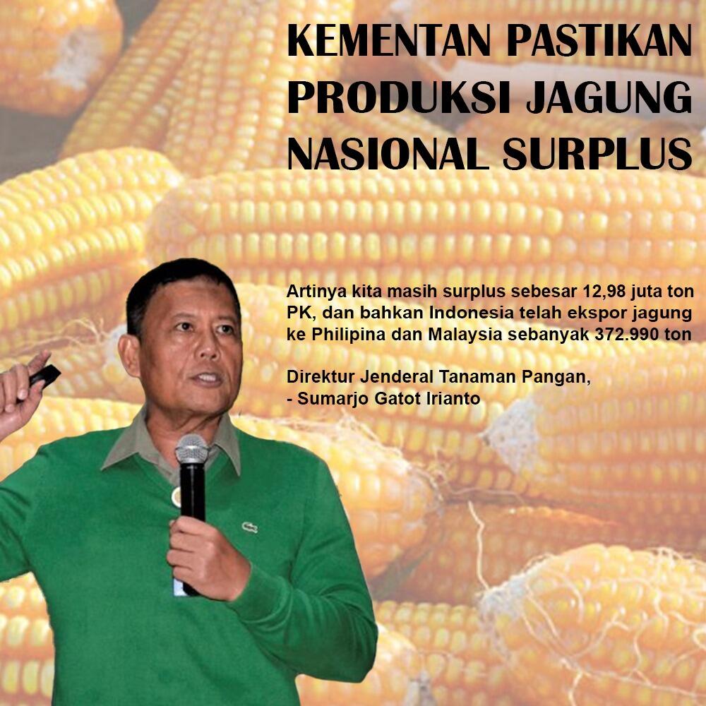 KEMENTAN Pastikan Produksi Jagung Nasional SURPLUS