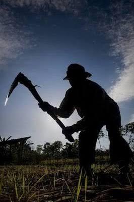 The Power Of Wong Alit ( Orang Kecil )