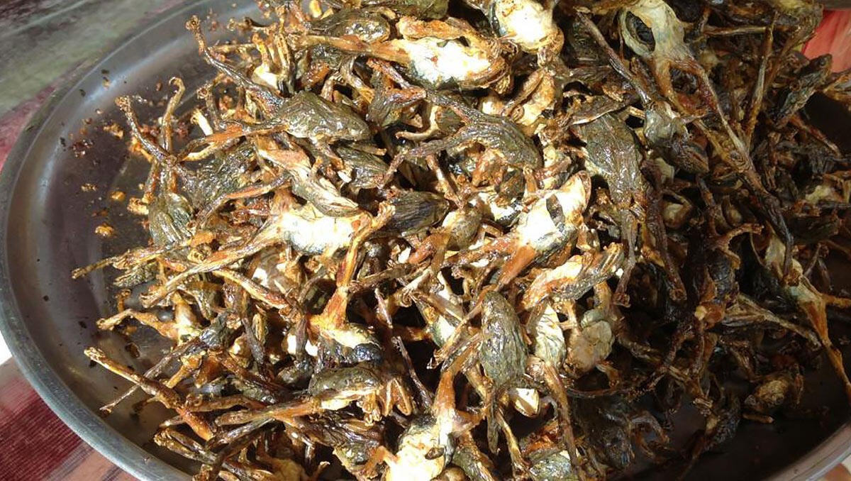 Ngeri tapi Sedap, Ini Dia 5 Kuliner Paling Ekstrim di Kamboja