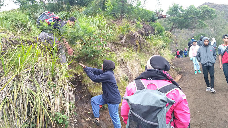 Keajaiban lain Kawah Ijen itu bernama Yunani