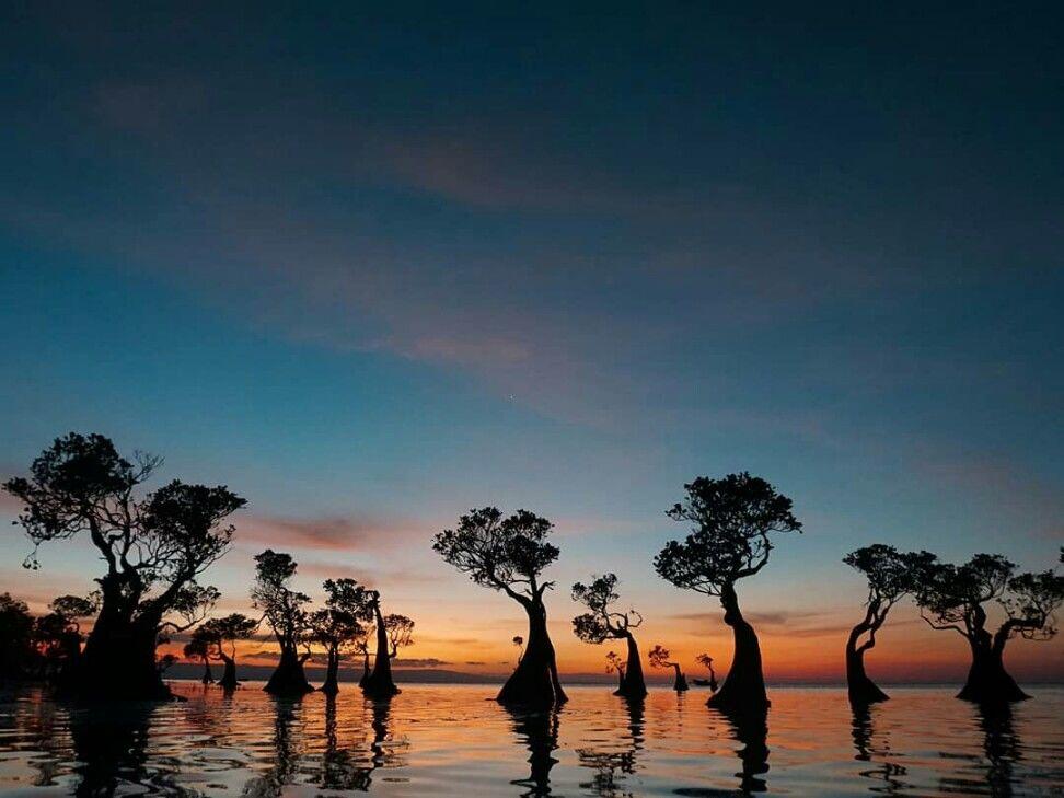 10 Pesona Pantai Walakiri Surga Nyata di Sumba, Nusa Tenggara Timur
