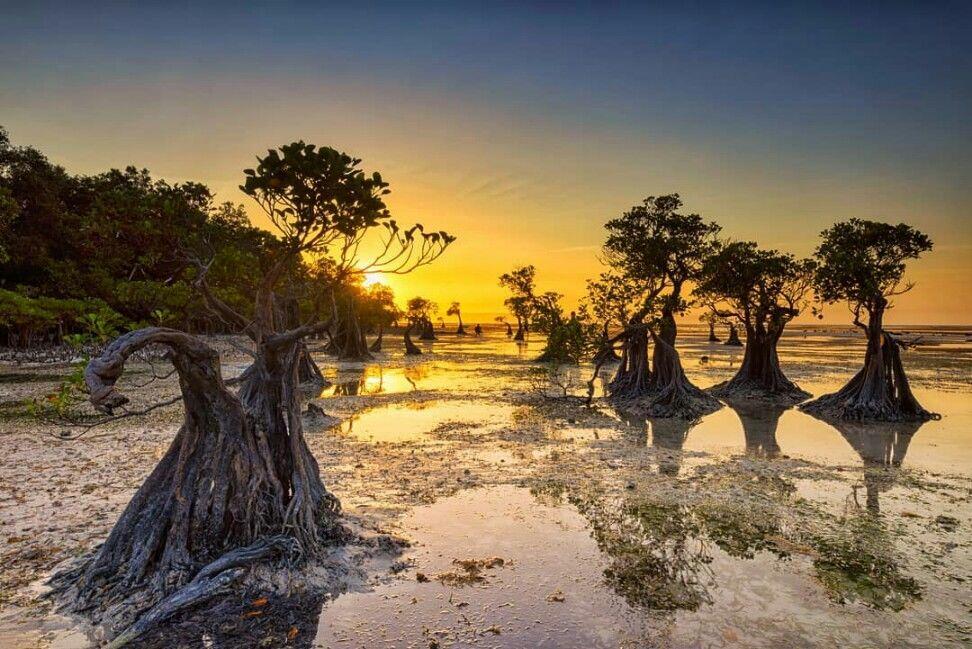 10 Pesona Pantai Walakiri Surga Nyata di Sumba, Nusa Tenggara Timur