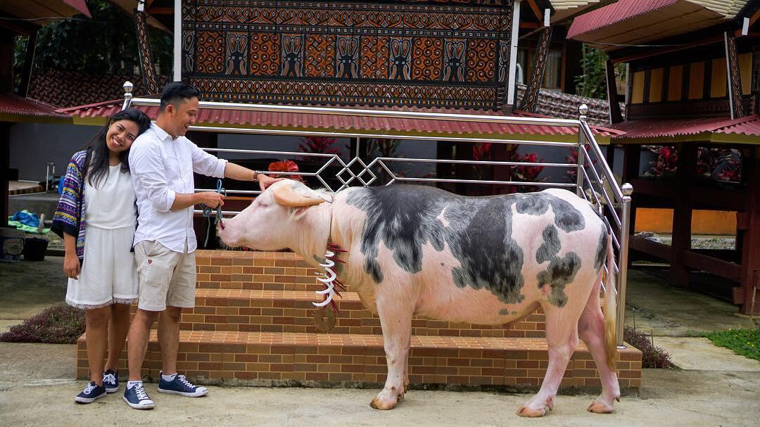 10 Alasan Kenapa Kete Kesu Jadi Kampung Adat Terpopuler di Indonesia