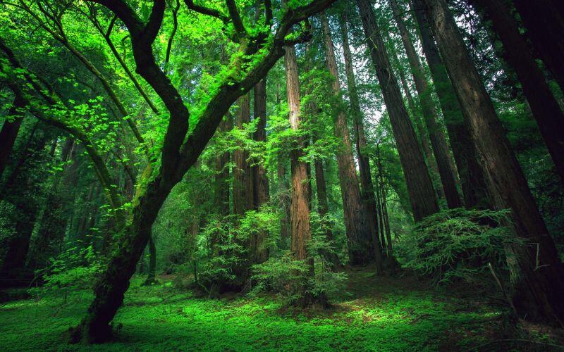 15 Wisata yang Harus Dikunjungi Sekali Seumur Hidup, Gak Bakal Rugi!