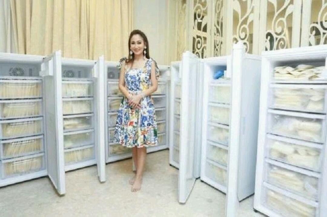 Sumbangkan ASI-Nya Sebanyak 15 Lemari Es, Sosialita Thailand ini Dikritik Para Dokter