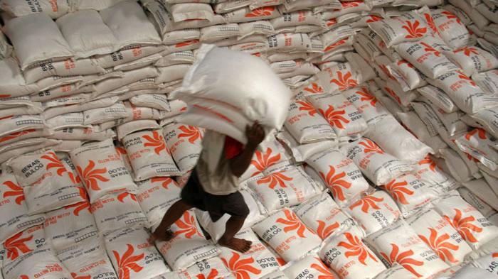Produksi Padi Turun 39,3 Persen Akibat Kemarau. Diprediksi Harga Beras Naik 10%?