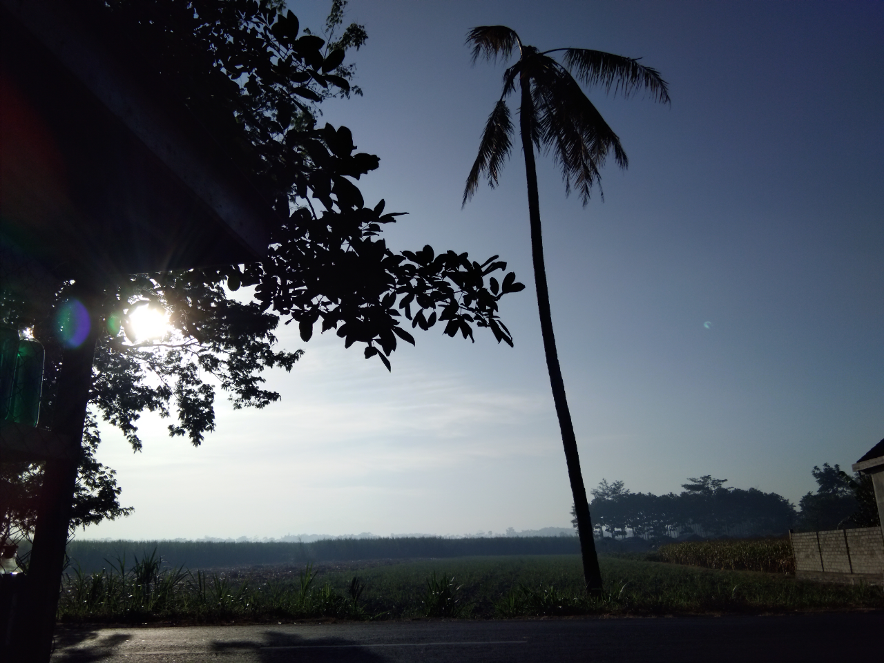 &#91;MUSICOC&#93; #Playlist Lagu Renungan Di Pagi Hari #AslinyaLo