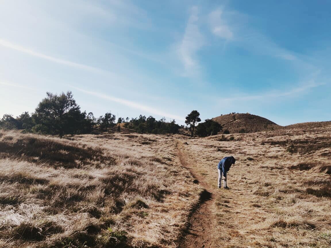 Keindahan Gunung Prau Dan Drama Perjalanan Menuju Kesana