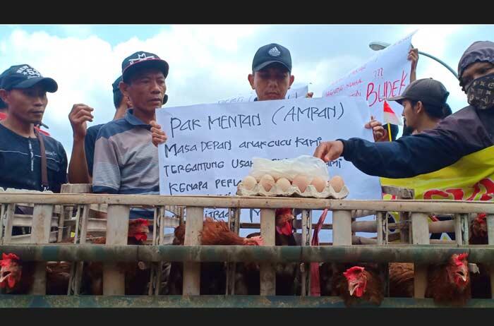Jagung Langka, Peternak Bawa Kandang Ayam ke Kantor Pemkab Blitar