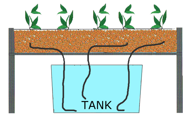 &#91;Event COC&#93; Tips Dan Trik Teknik Penanaman Hidroponik #AslinyaLo