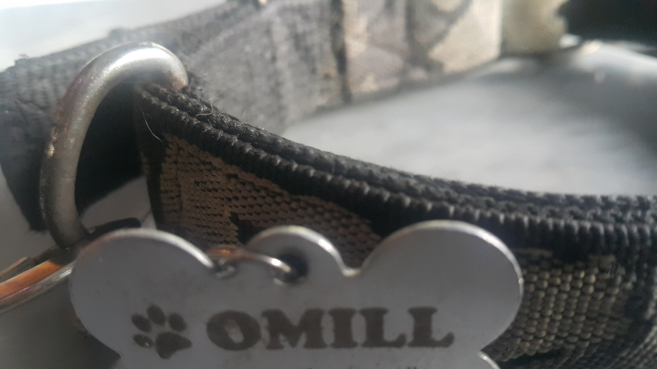 &#91;COC Pets&#93; ''OMiLL'' Anjing Kesayangan Ane #Aslinyalo