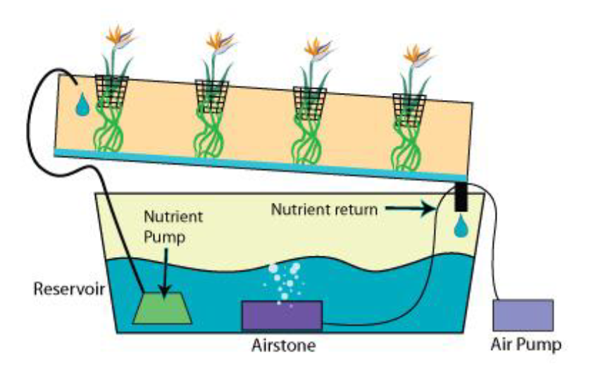 Nft как работает. Система NFT гидропоника схема. Система питательного слоя гидропонная. Гидропоника техника питательного слоя (NFT). Техника питательного слоя NFT.
