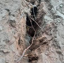Mengejutkan, Fenomena Tanah Terbelah di Depok