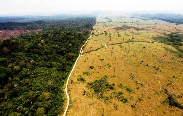 Foto - Foto Perubahan Lingkungan Yang Menyakitkan