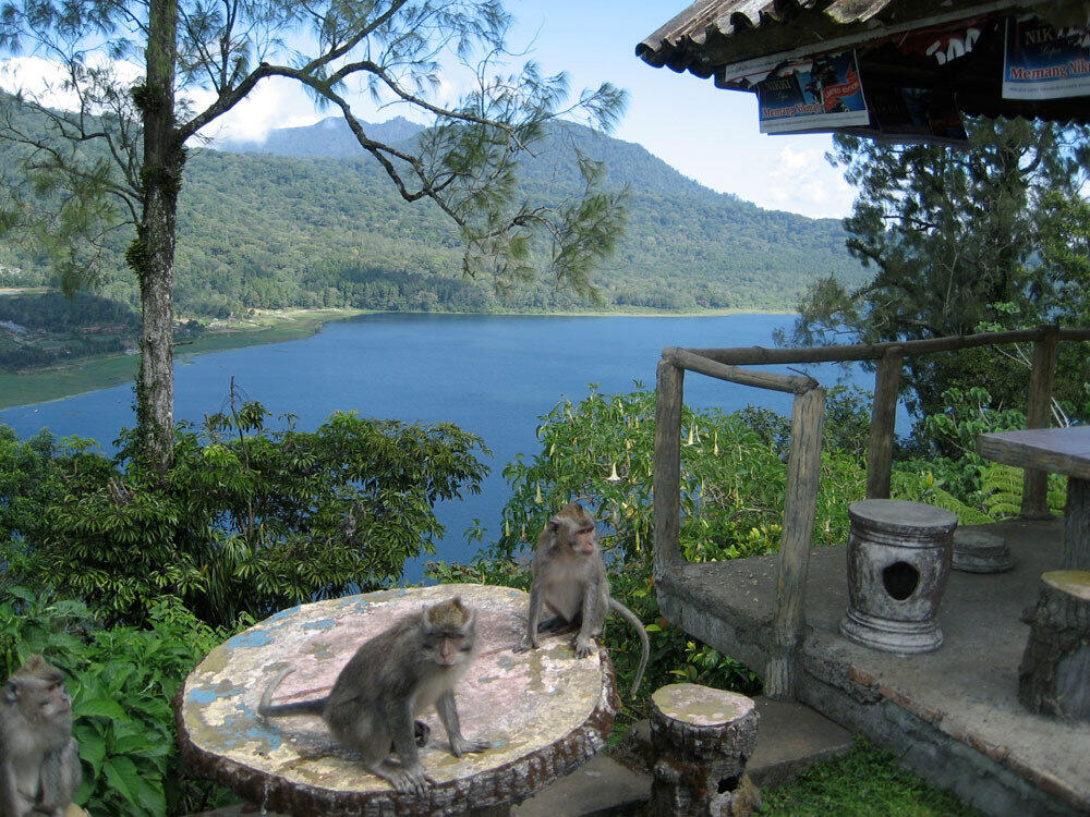 &#91;COC Travellers&#93; JALAN – JALAN HEMAT ke BUKIT BATU KURSI BALI #AslinyaLo